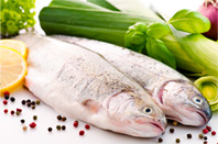 Chez CAQ - Fish