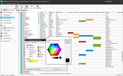 CAQ Software-Customizing