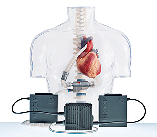 Torso with Components