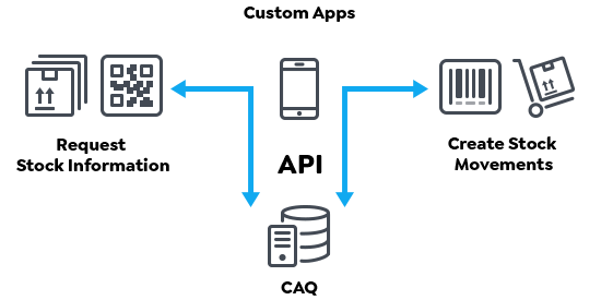 API in CAQ.Net