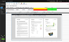 View documents directly within the project